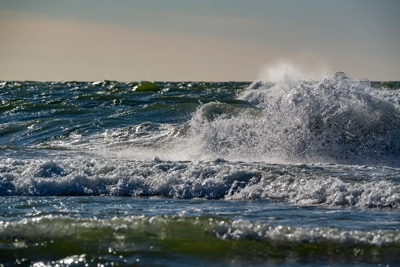 Куршская коса без туристов: секретные тропы и дикие пляжи