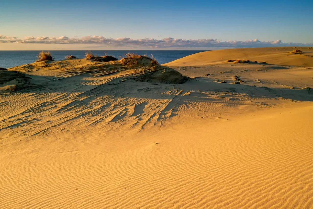 Куршская коса в октябре: царство тишины, птичьих миграций и песчаных дюн