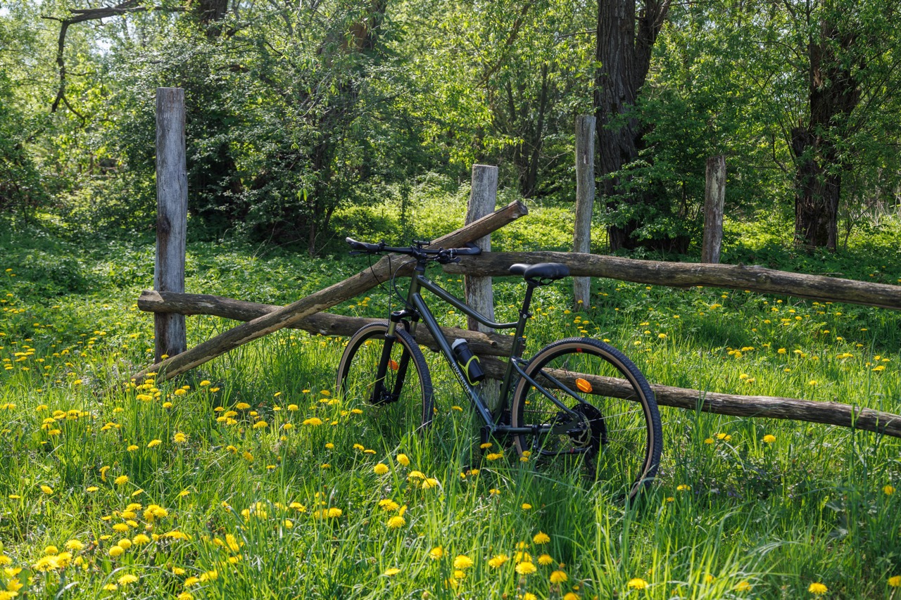 Bike Camp - Велотур по Калининграду и области