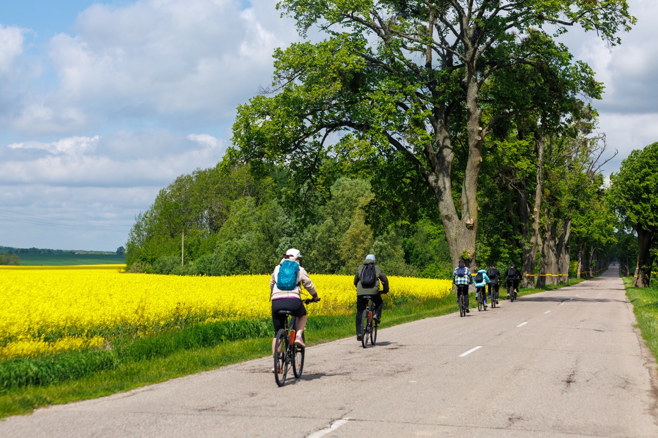 Я ЕДУ! НА 8 ДНЕЙ